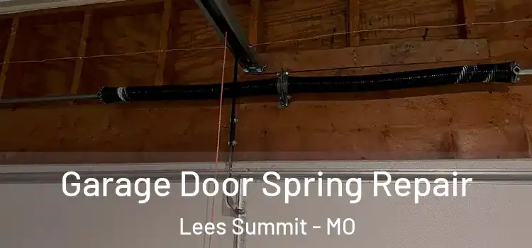  Garage Door Spring Repair Lees Summit - MO