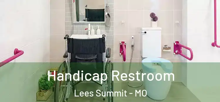  Handicap Restroom Lees Summit - MO