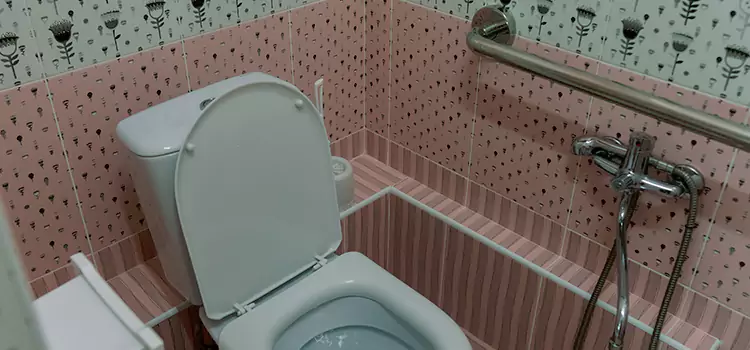 Meeting Diverse Needs With Accessible Restroom Solutions in Lees Summit, MO