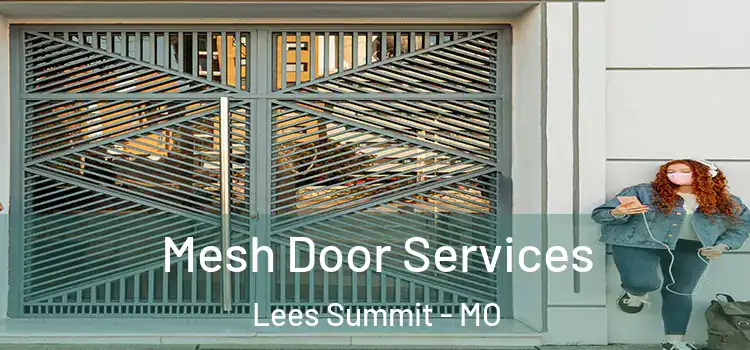 Mesh Door Services Lees Summit - MO