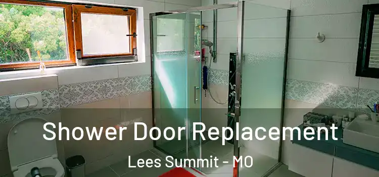 Shower Door Replacement Lees Summit - MO